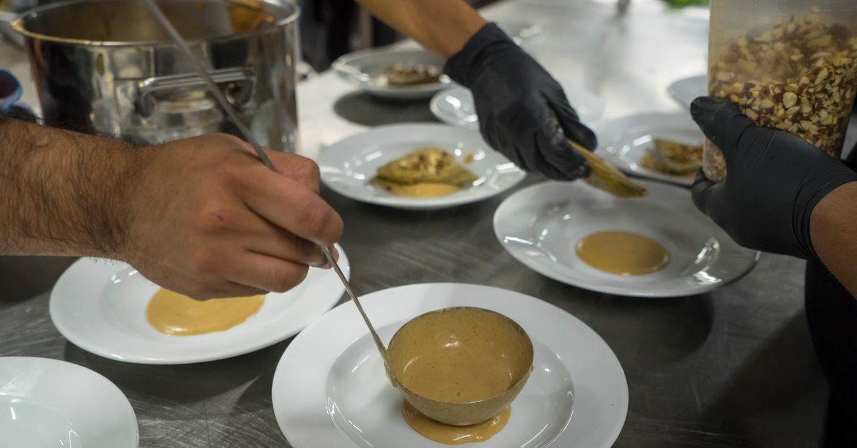 Chefs skillfully plating gourmet dishes in a culinary kitchen setting, showcasing expert preparation.